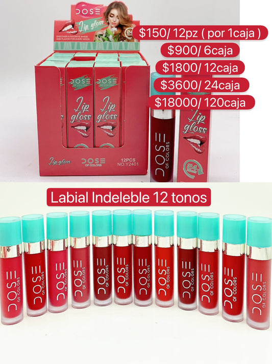 Labial Indeleble 12 Tonos